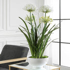 Purity Agapanthus Centerpiece by Uttermost