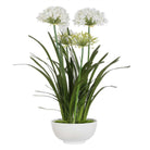 Purity Agapanthus Centerpiece by Uttermost