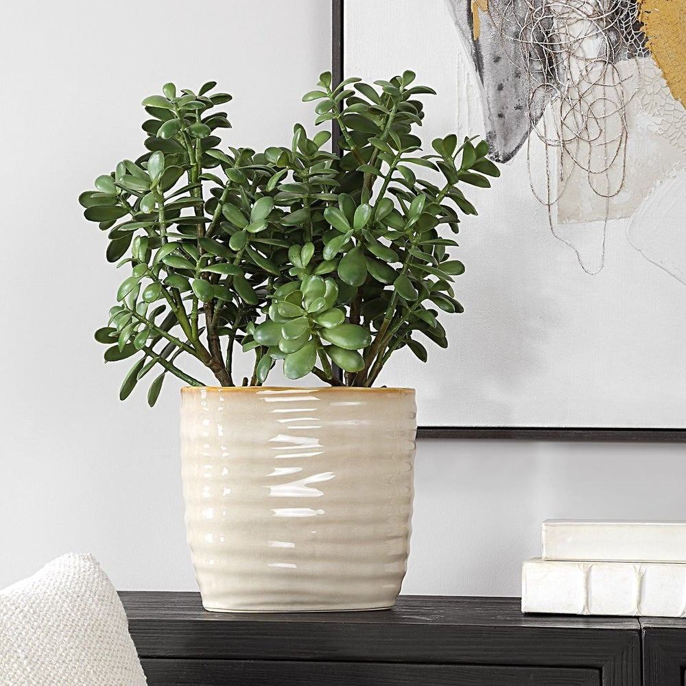 Crassula Jade Accent by Uttermost