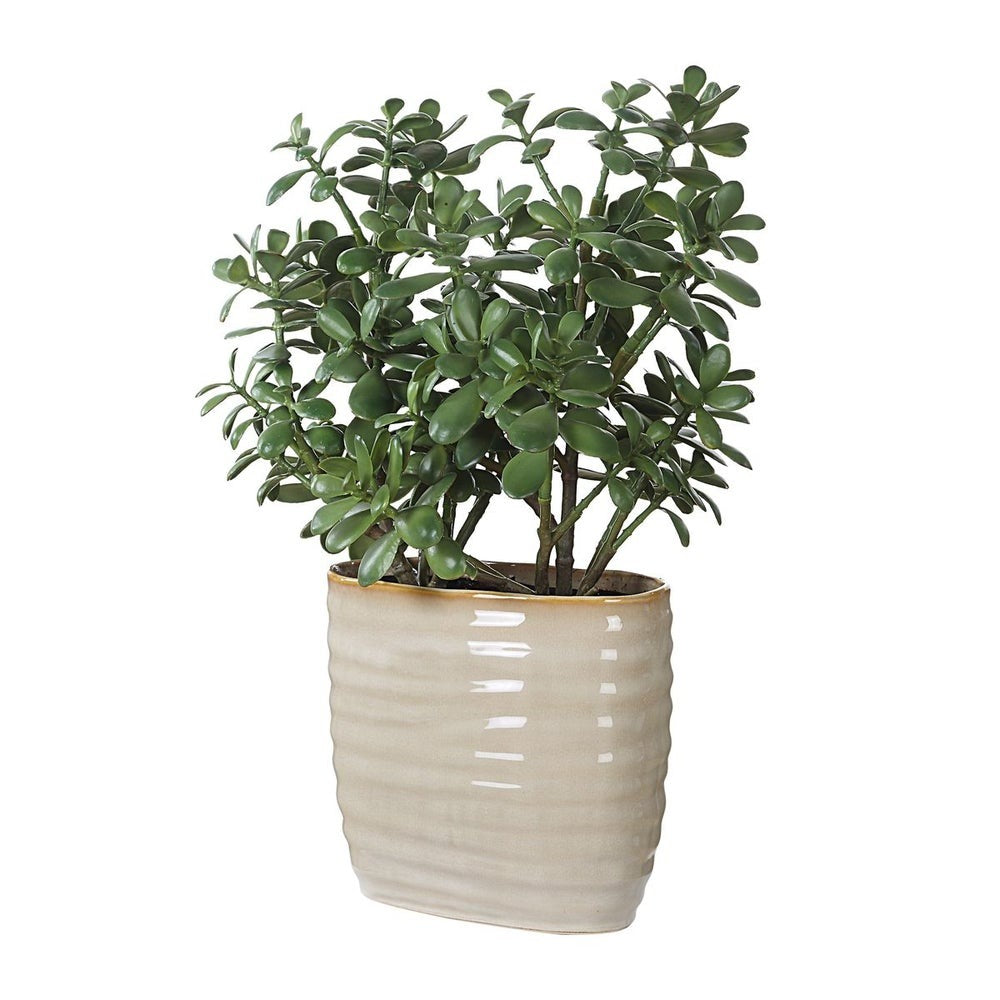 Crassula Jade Accent by Uttermost