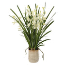 Ariana Orchid by Uttermost