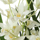 Ariana Orchid by Uttermost