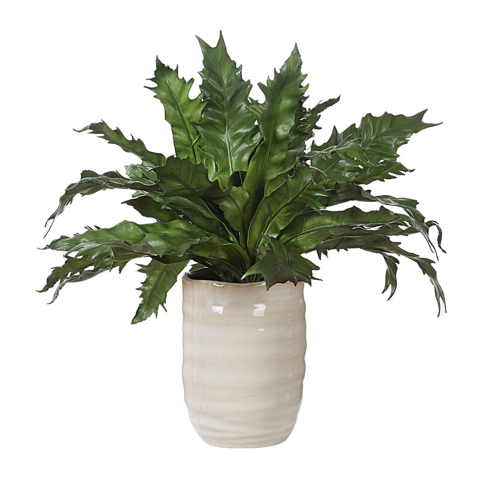 Verdure Fern by Uttermost