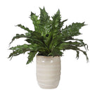 Verdure Fern by Uttermost
