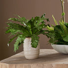 Verdure Fern by Uttermost