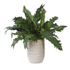 Verdure Fern by Uttermost