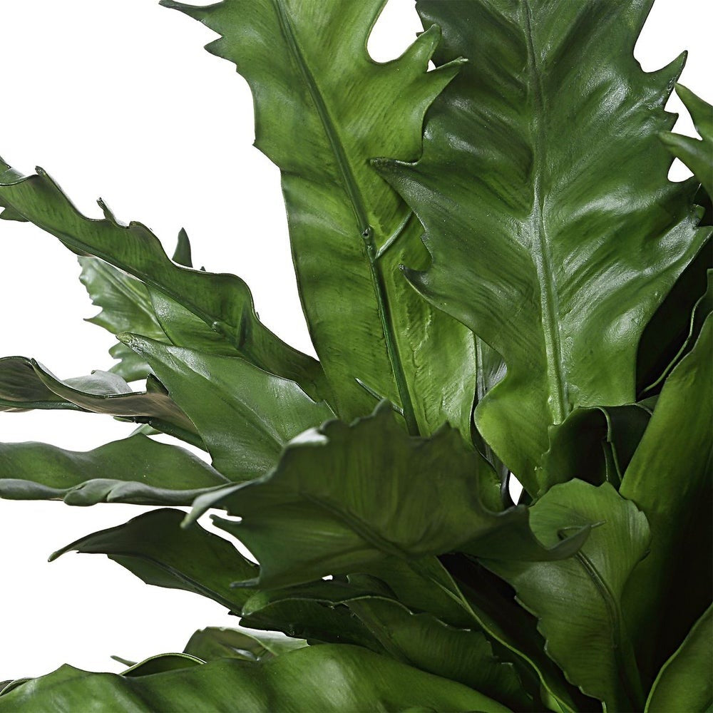 Verdure Fern by Uttermost