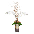 Earthbound Orchid by Uttermost