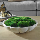 Awaken Moss Centerpiece by Uttermost