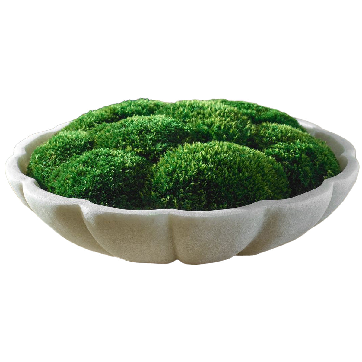 Awaken Moss Centerpiece by Uttermost