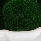 Awaken Moss Centerpiece by Uttermost