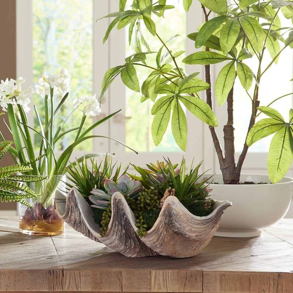 Seaside Breeze Succulents by Uttermost