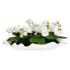 Opulence Orchid by Uttermost