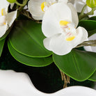 Opulence Orchid by Uttermost