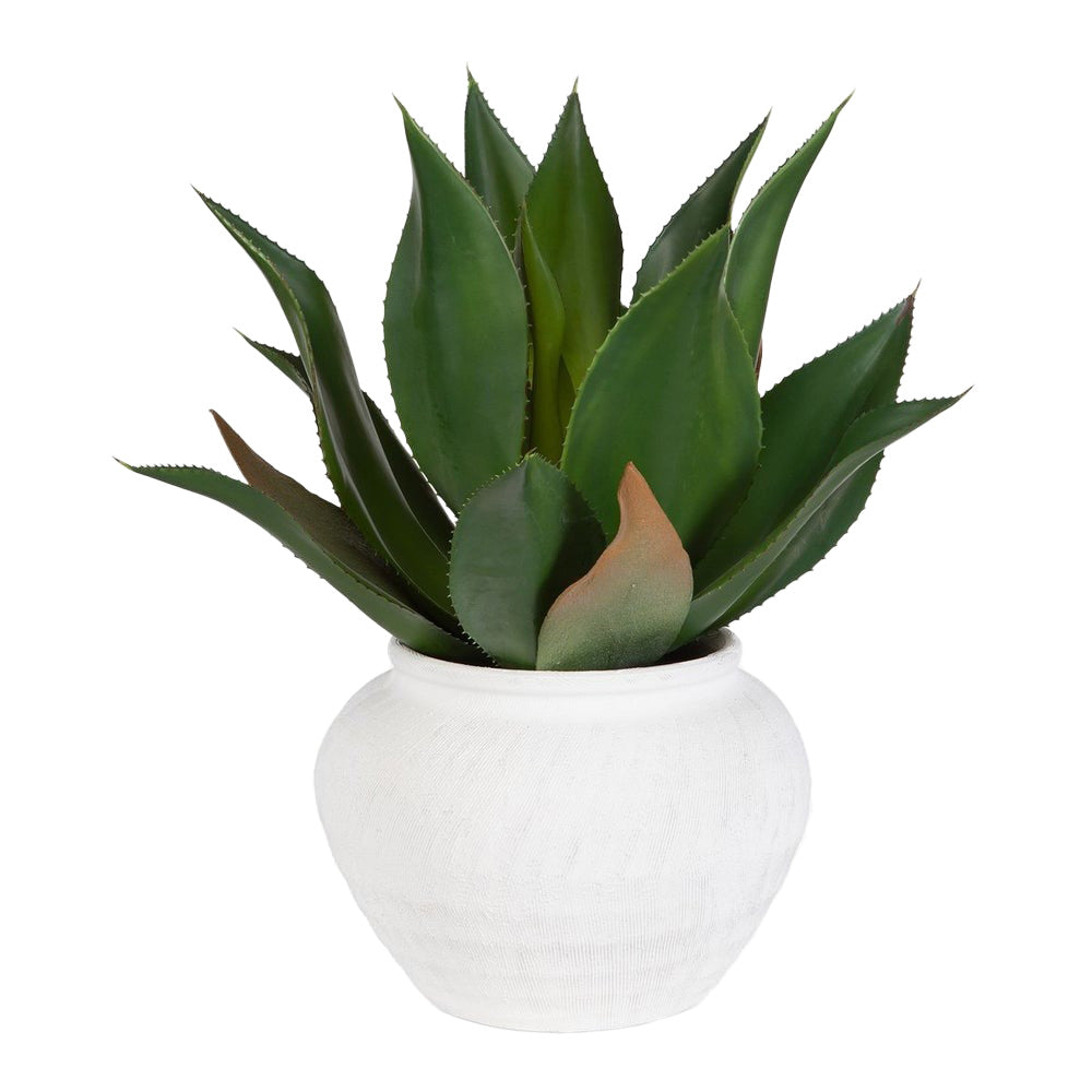 Tierra Agave Centerpiece by Uttermost