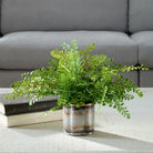 Maidenhair Fern Accent by Uttermost