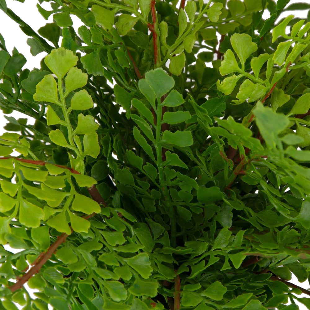 Maidenhair Fern Accent by Uttermost