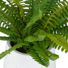 Boston Fern Accent by Uttermost