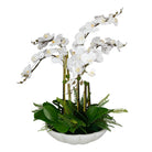 Flourish Orchid Centerpiece by Uttermost