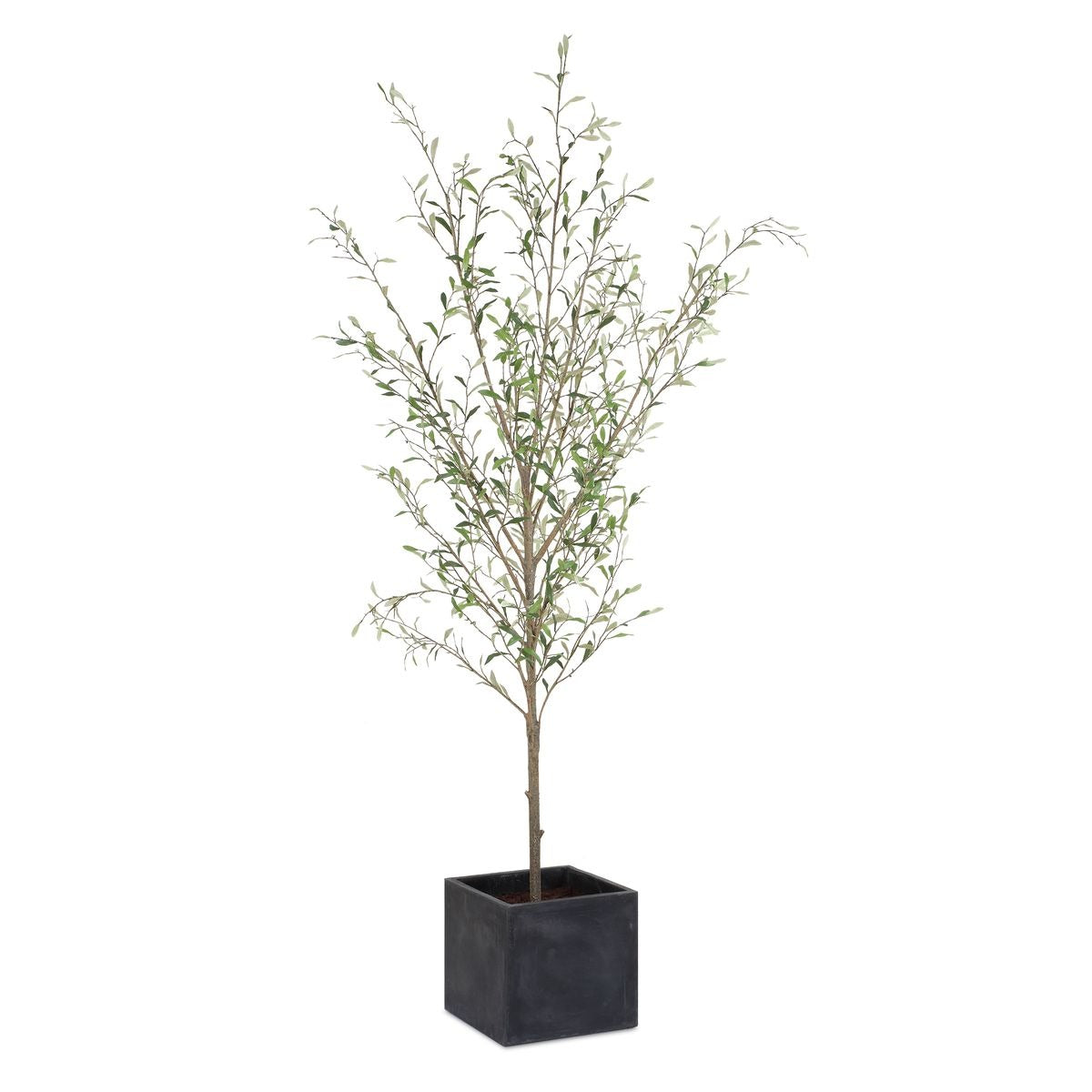 Abundance Potted Olive Tree by Uttermost