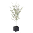 Abundance Potted Olive Tree by Uttermost