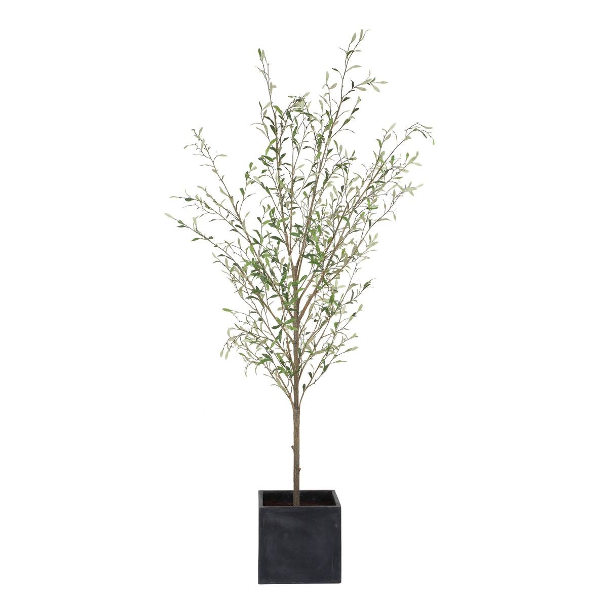 Abundance Potted Olive Tree by Uttermost