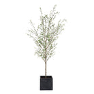 Abundance Potted Olive Tree by Uttermost