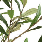 Abundance Potted Olive Tree by Uttermost