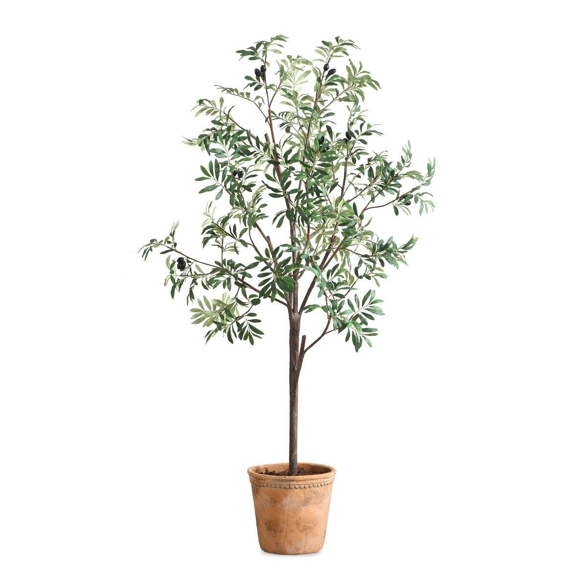 Olea Potted Olive Tree by Uttermost