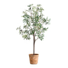 Olea Potted Olive Tree by Uttermost