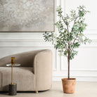 Olea Potted Olive Tree by Uttermost