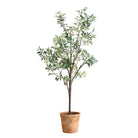 Olea Potted Olive Tree by Uttermost
