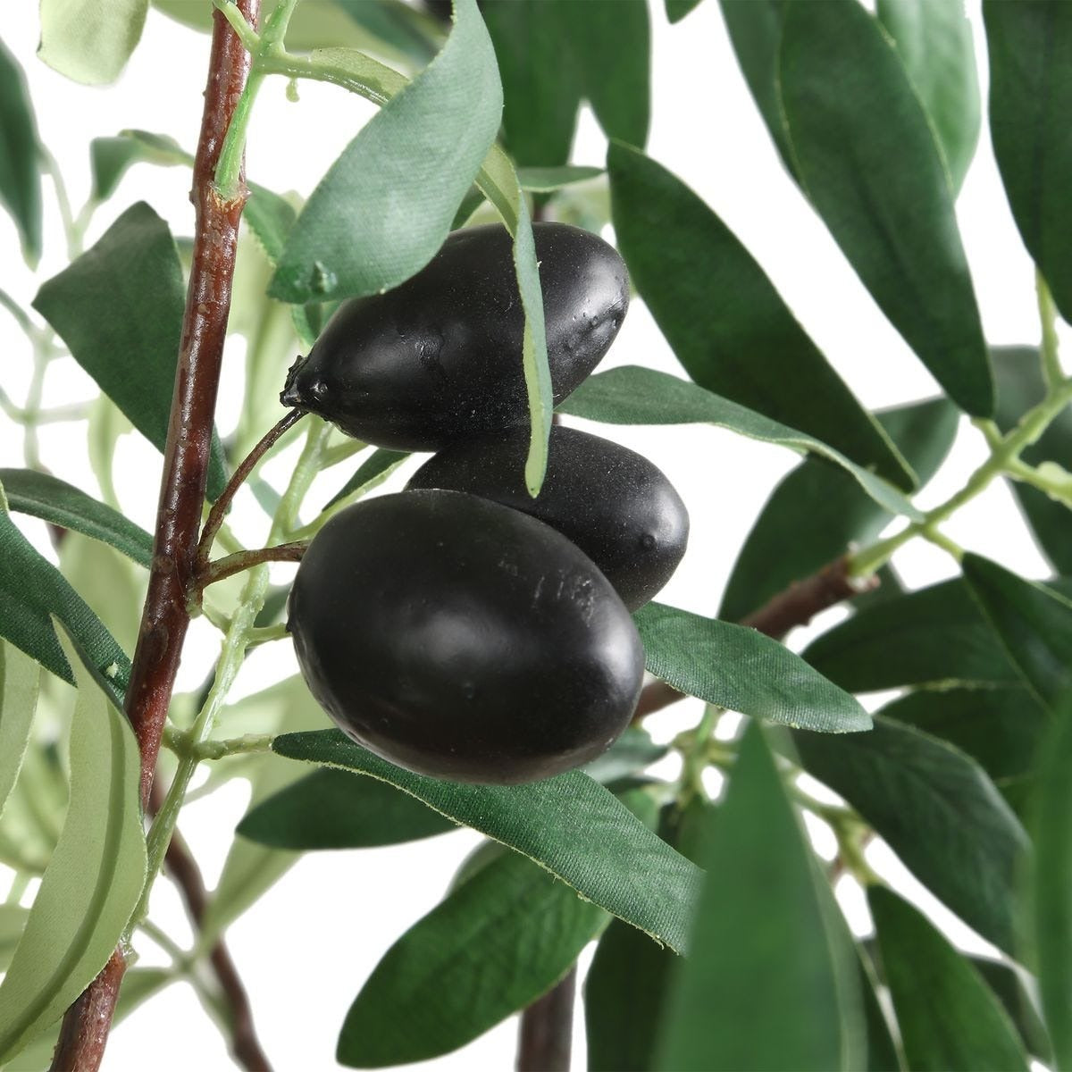 Olea Potted Olive Tree by Uttermost