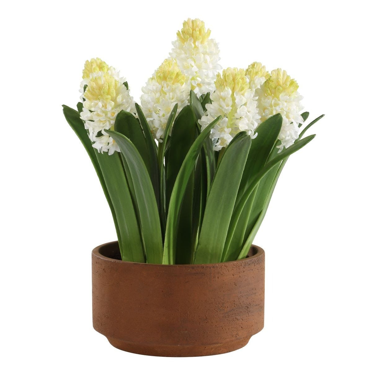 Sincerity Potted Hyacinth Plant by Uttermost