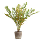 Zamia Palm Accent In Planter by Uttermost