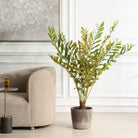 Zamia Palm Accent In Planter by Uttermost