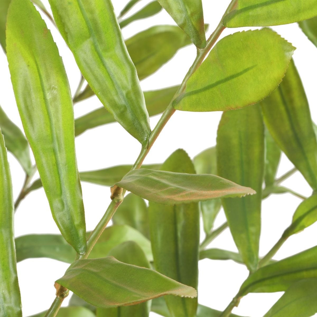 Zamia Palm Accent In Planter by Uttermost