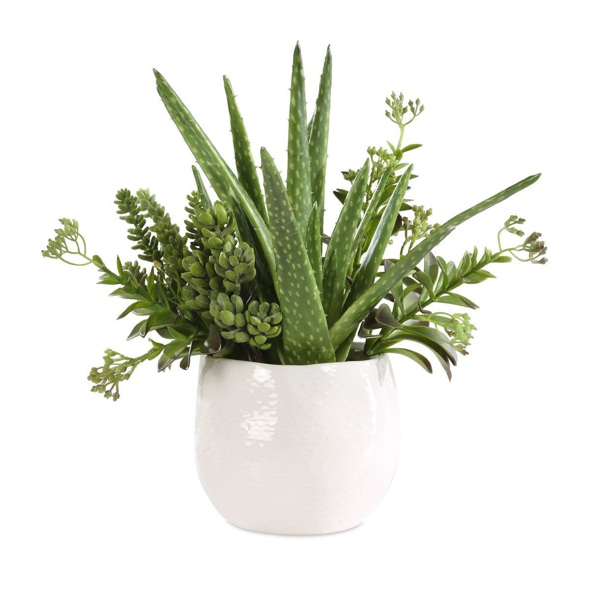 Sundown Succulent Accent Planter by Uttermost