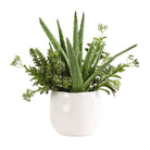Sundown Succulent Accent Planter by Uttermost
