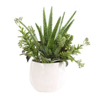 Sundown Succulent Accent Planter by Uttermost