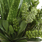 Sundown Succulent Accent Planter by Uttermost