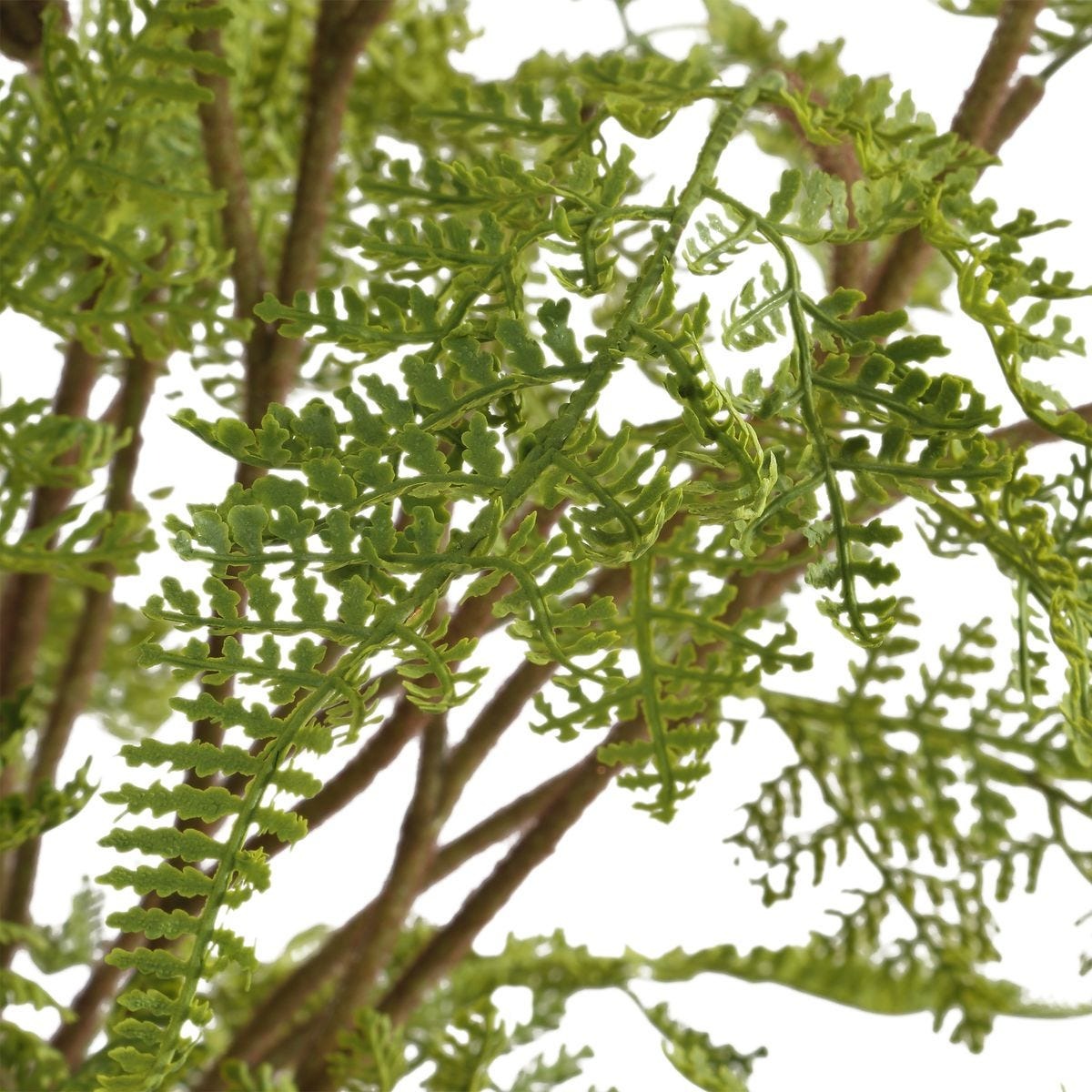 Woodland Fern Centerpiece by Uttermost