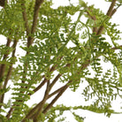 Woodland Fern Centerpiece by Uttermost