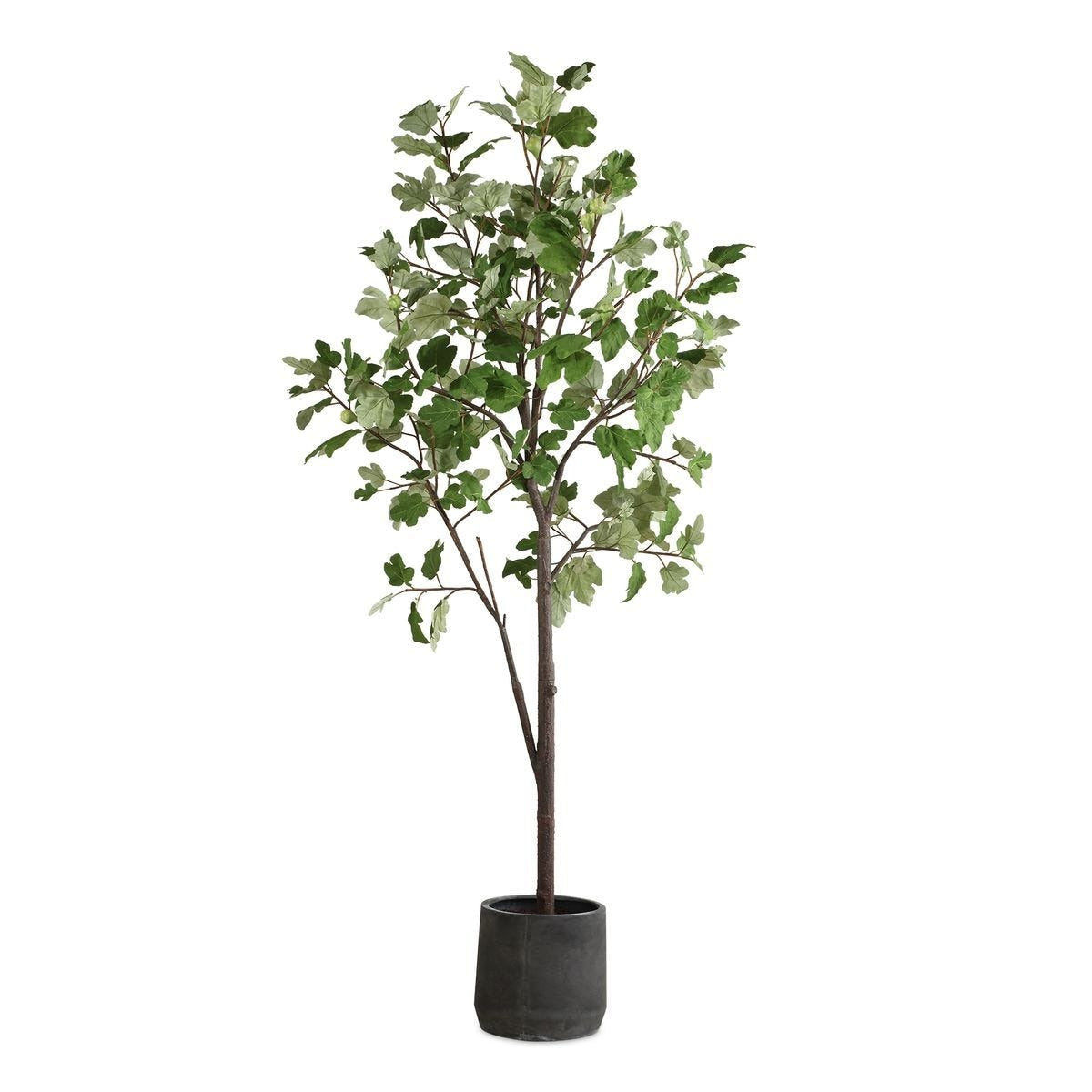 Eden Potted Fig Tree by Uttermost