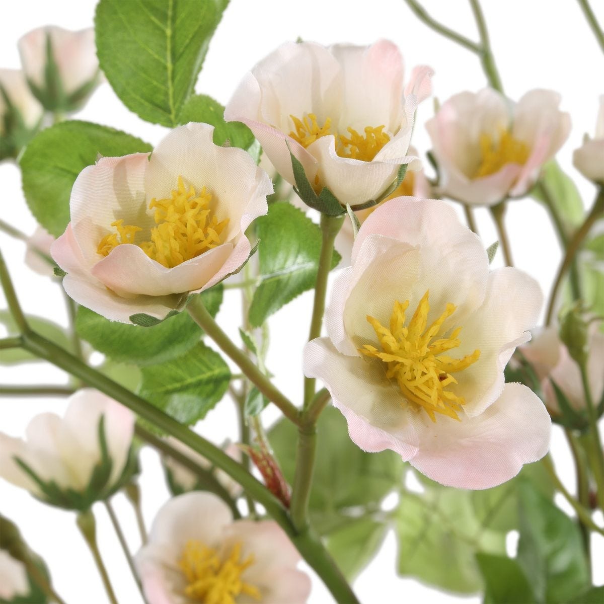 Tranquility Lenten Rose Bouquets Set of 2 by Uttermost
