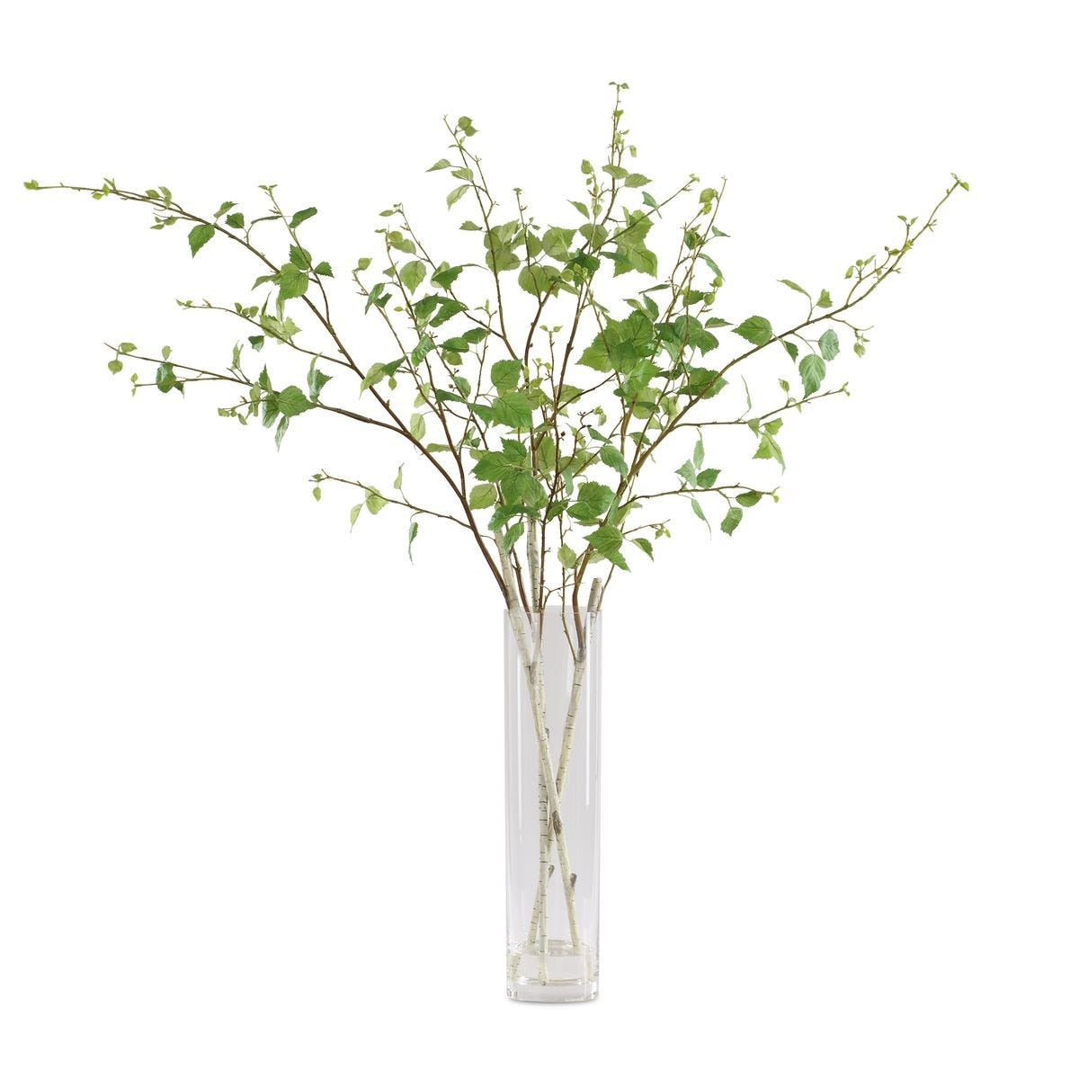 Nigra Birch Vase Centerpiece by Uttermost