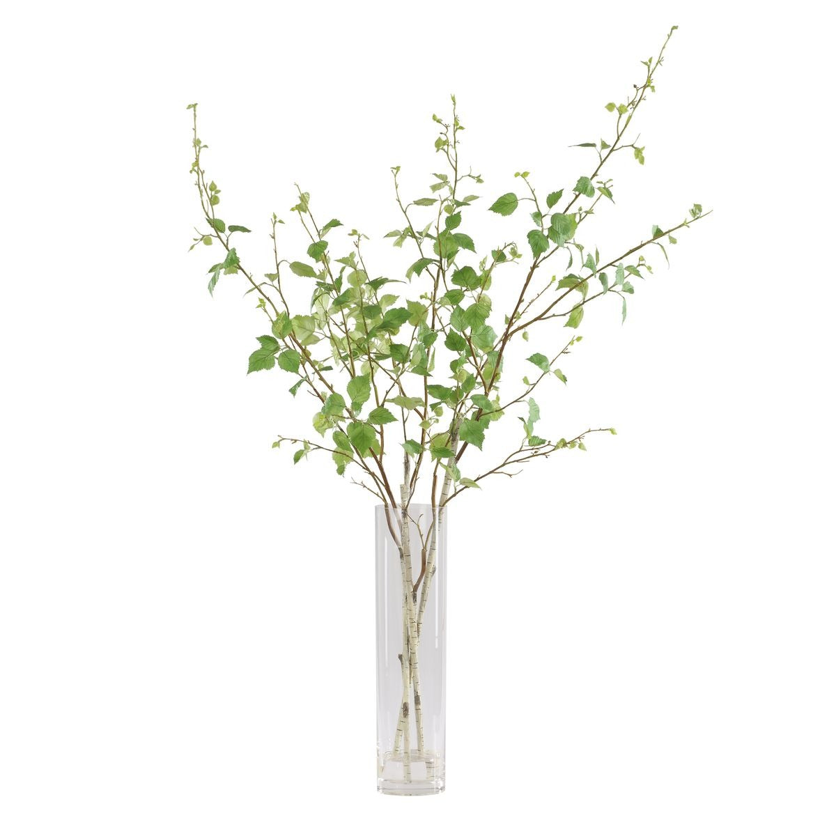 Nigra Birch Vase Centerpiece by Uttermost