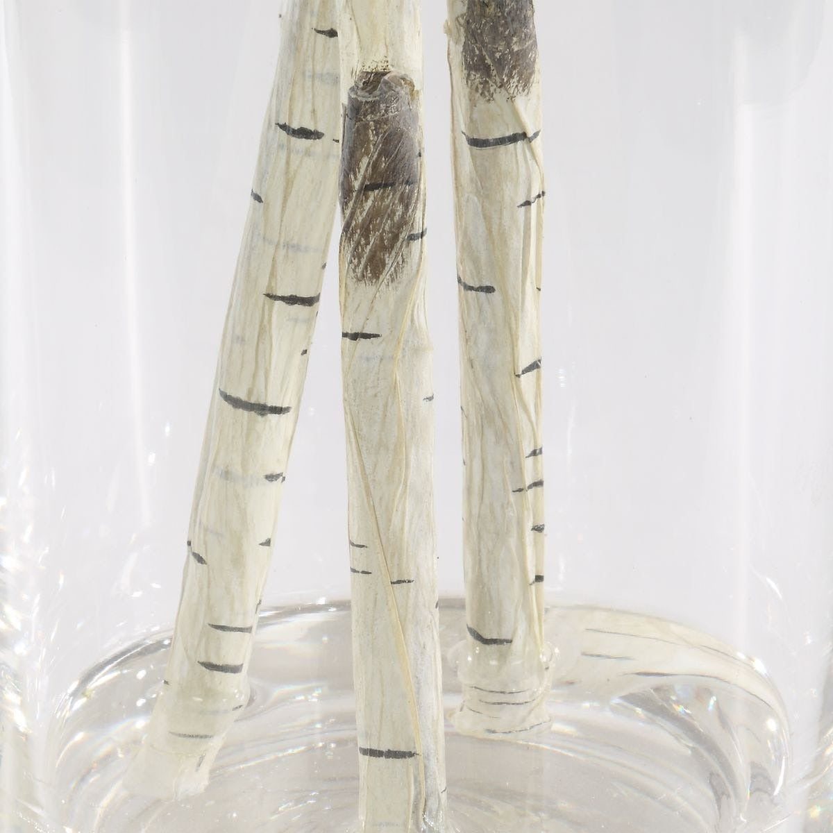 Nigra Birch Vase Centerpiece by Uttermost