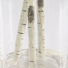 Nigra Birch Vase Centerpiece by Uttermost