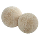 Abide Ball Sheepskin Pillows - Set of 2 by Uttermost